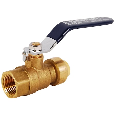 Legend Valve 1/2 P-2200 PUSH x FPT BV 456-013NL